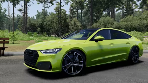 Audi A,S,RS7 (4K8/C8)